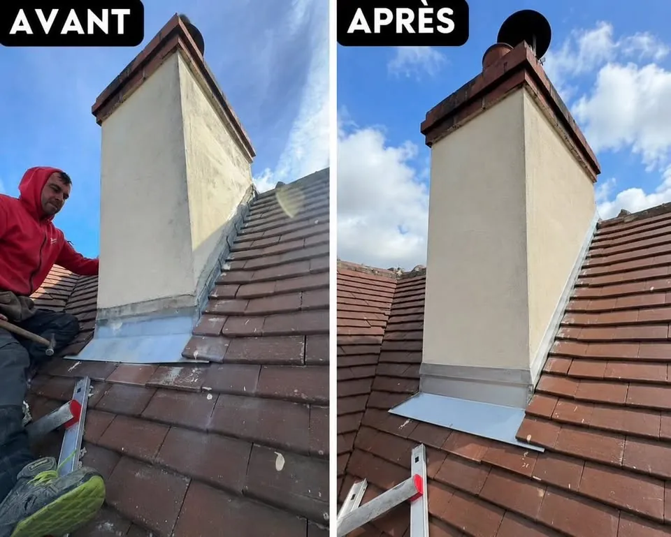 Avant / après démoussage