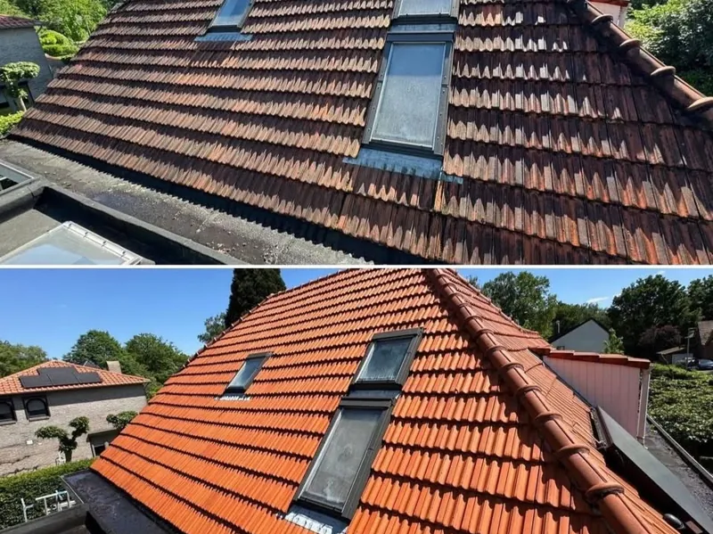 Tuiles à Orléans